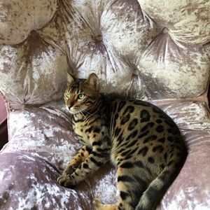 Meet your Posher, Melody